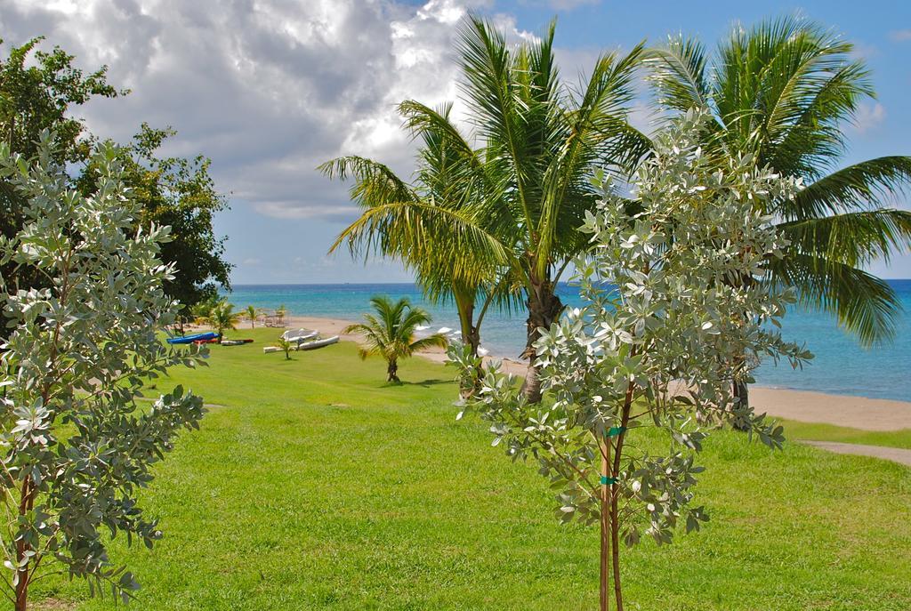 Villa Zenith Nevis Zimmer foto